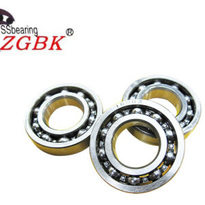 zgbk bearings-stainless steel bearing-S16003